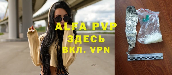 мет Алексин