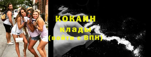 твердый Алзамай