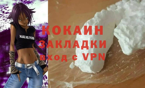 твердый Алзамай