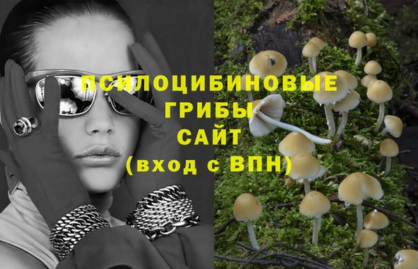 твердый Алзамай