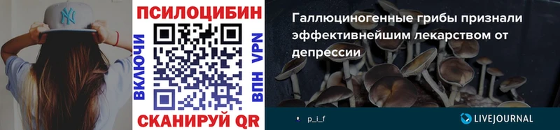 Галлюциногенные грибы Psilocybe  mega ONION  Туймазы 