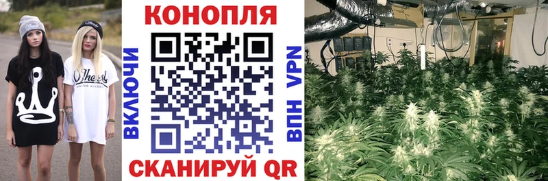 Каннабис семена  наркотики  Туймазы 